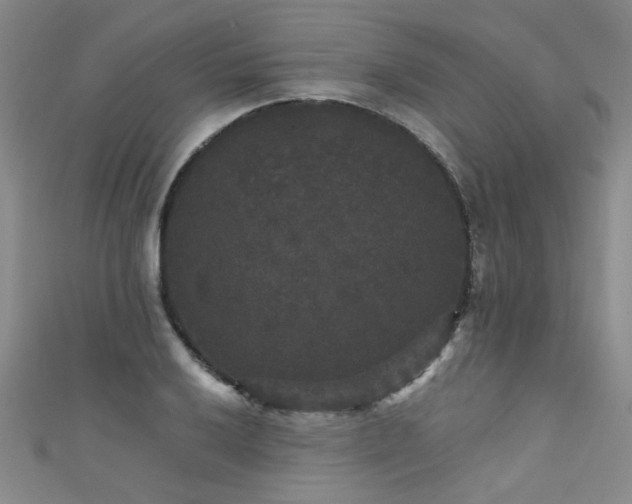 X0000111521032200907141503