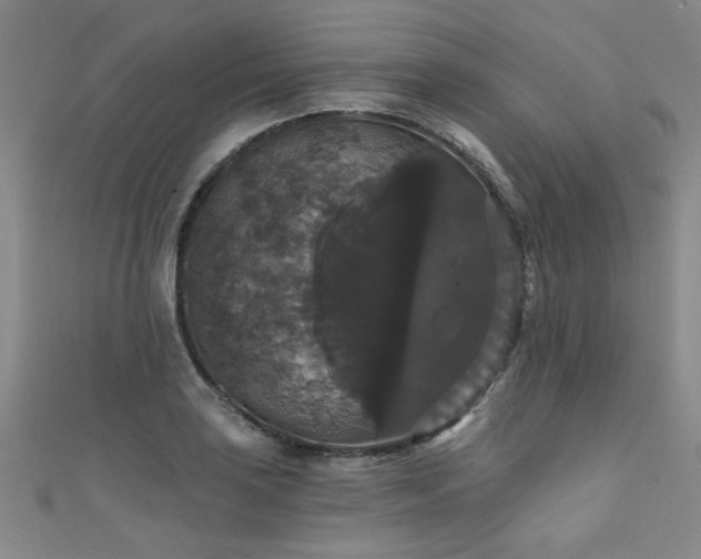 X0000111521035200907141503