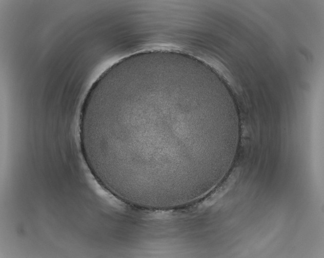 X0000111521038200907141503