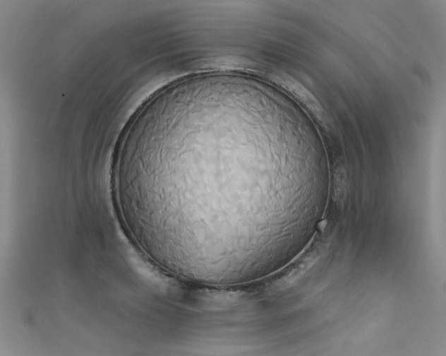 X0000111521039200907141503