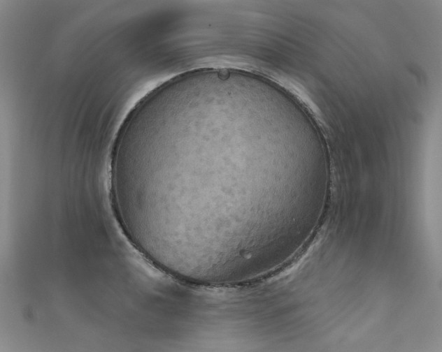 X0000111521040200907141504