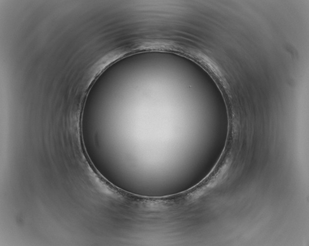 X0000111521041200907141504