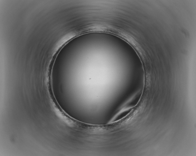 X0000111521042200907141504