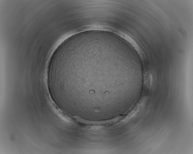 X0000111521043200907141504