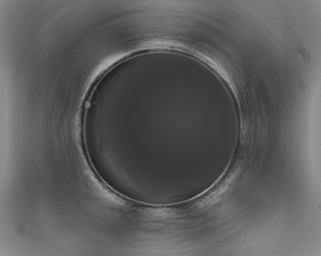 X0000111521045200907141504
