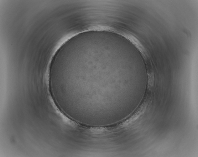 X0000111521046200907141504