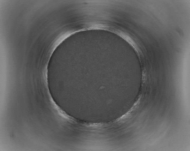 X0000111521047200907141504
