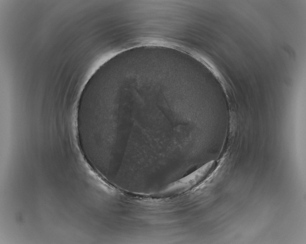 X0000111521048200907141504