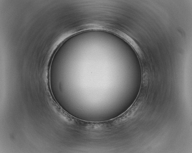 X0000111521051200907141504