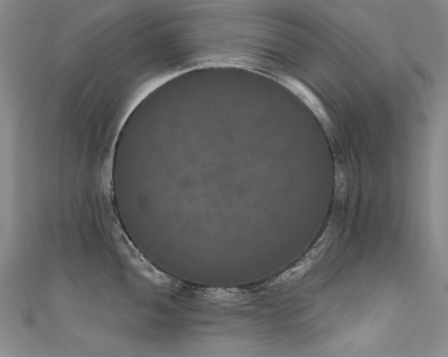 X0000111521052200907141504