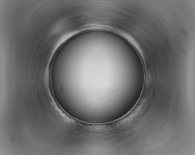 X0000111521053200907141504