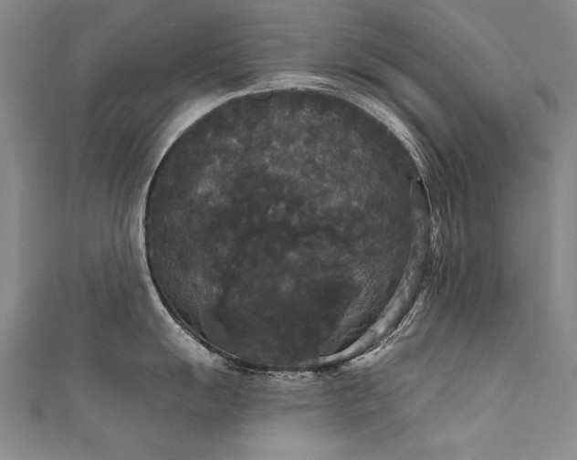 X0000111521055200907141504