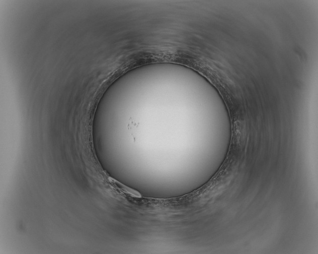 X0000111521057200907141503