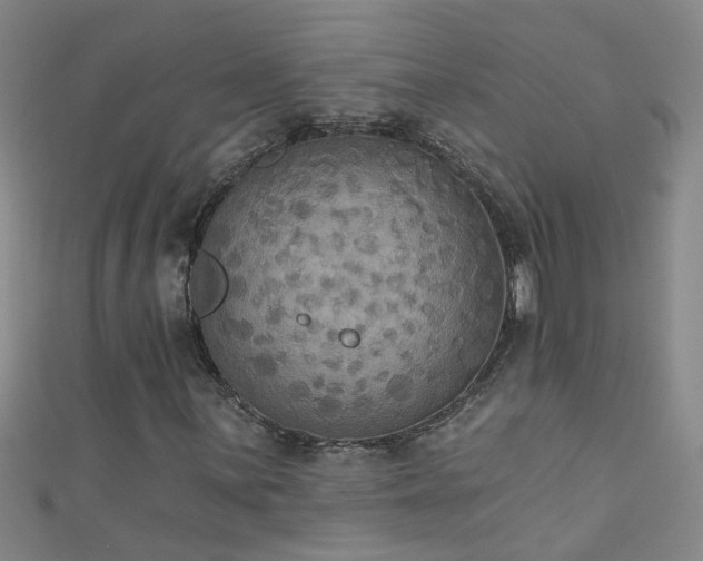 X0000111521059200907141503