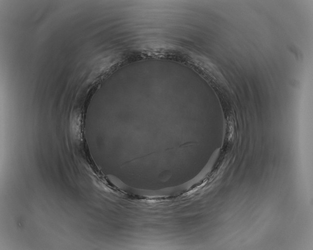 X0000111521060200907141503