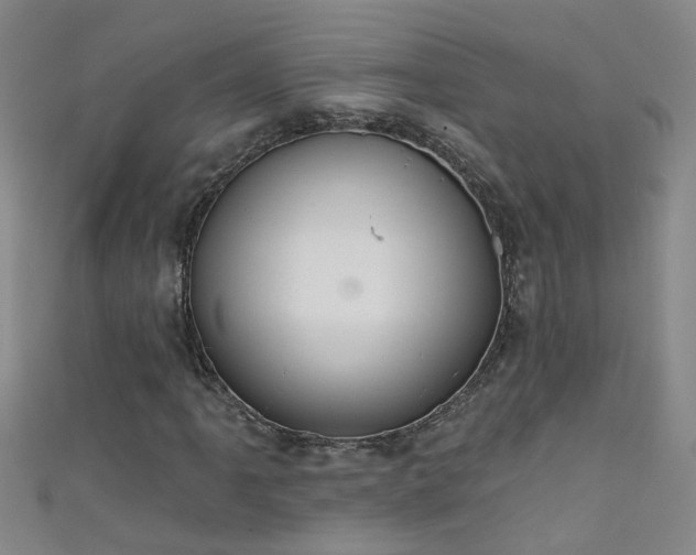 X0000111521061200907141503