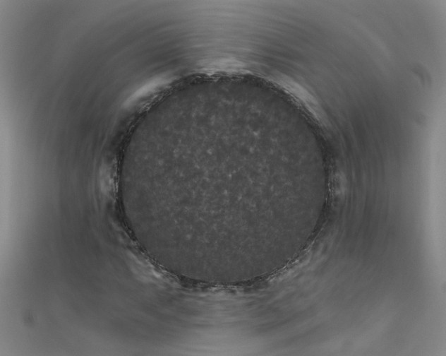 X0000111521063200907141503