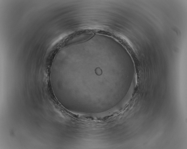 X0000111521064200907141503