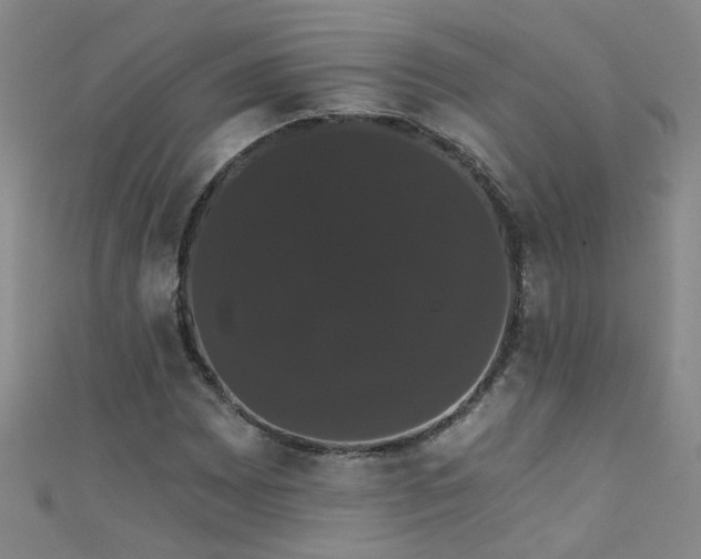 X0000111521065200907141503
