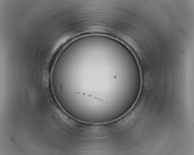 X0000111521067200907141503