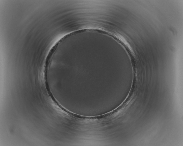 X0000111521068200907141503
