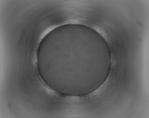 X0000111521070200907141503