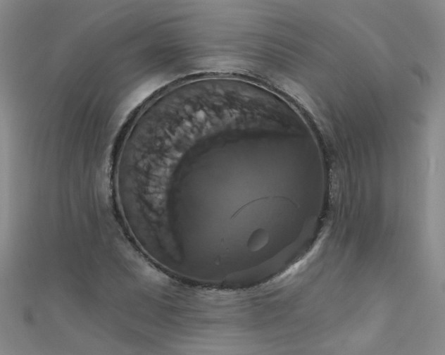 X0000111521071200907141503
