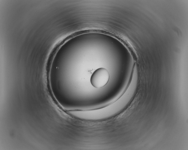 X0000111521072200907141503