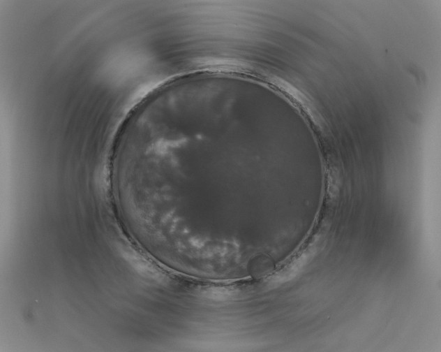 X0000111521074200907141503