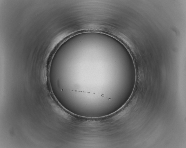 X0000111521075200907141503