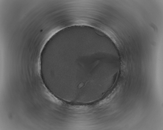 X0000111521076200907141503