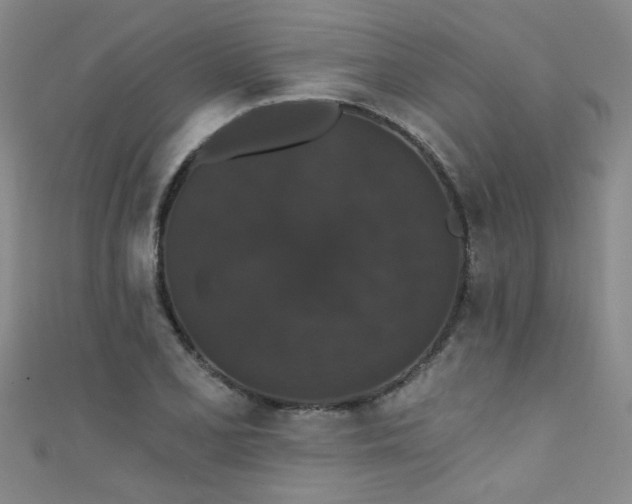 X0000111521077200907141503