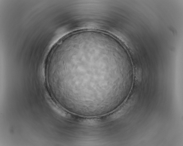 X0000111521078200907141503