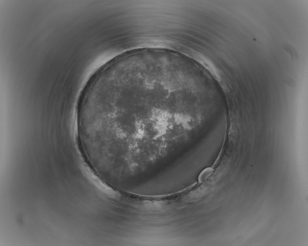 X0000111521080200907141503