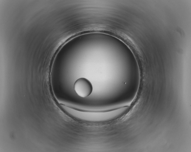 X0000111521081200907141503