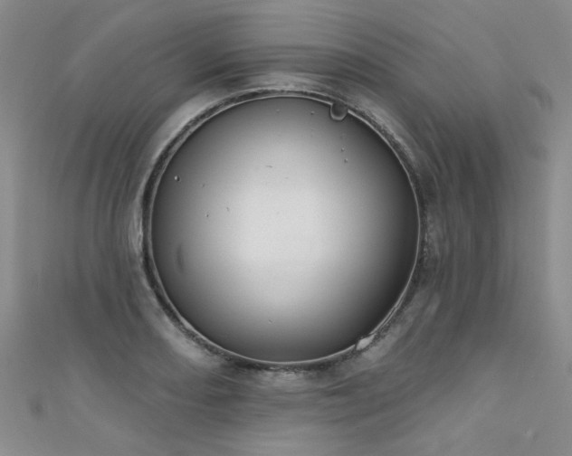 X0000111521082200907141503
