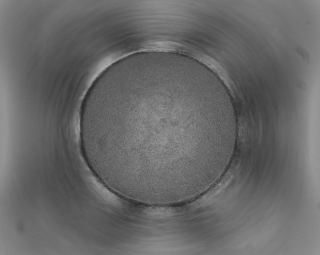 X0000111521083200907141503