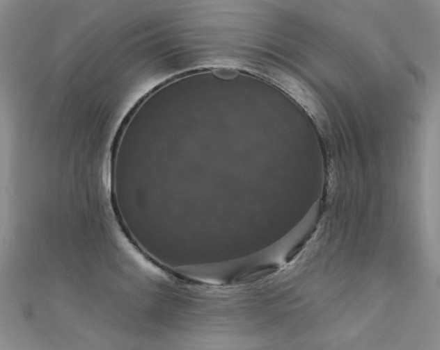 X0000111521084200907141503