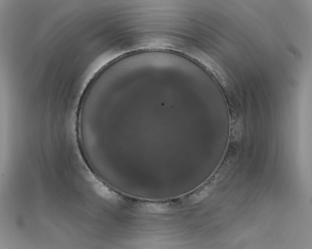 X0000111521086200907141503