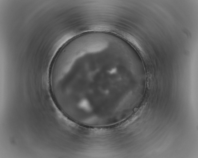 X0000111521087200907141503