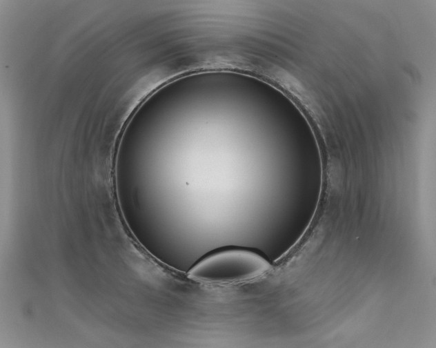 X0000111521089200907141503