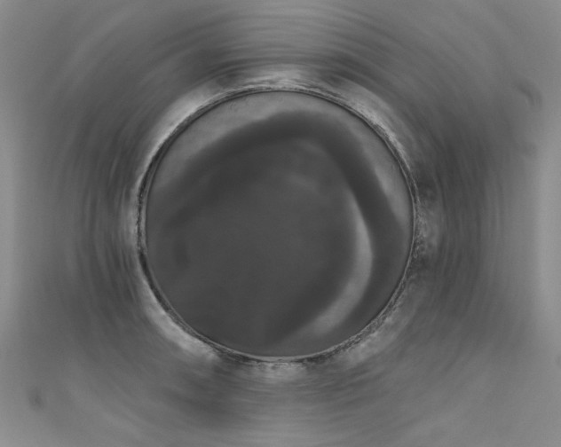 X0000111521090200907141503
