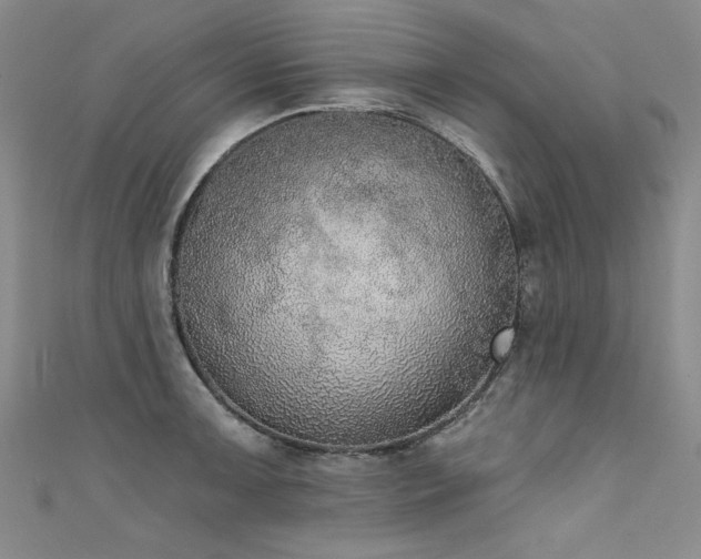 X0000111521091200907141503