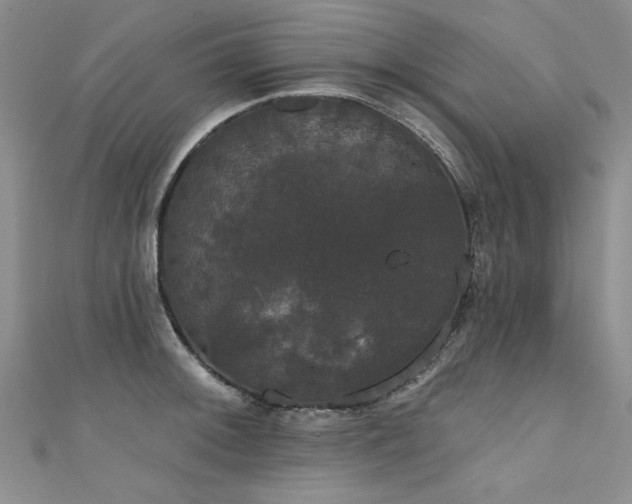 X0000111521092200907141503