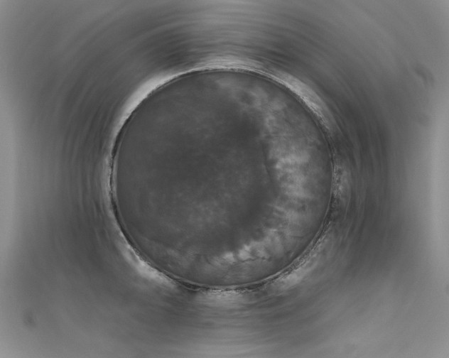 X0000111521094200907141503