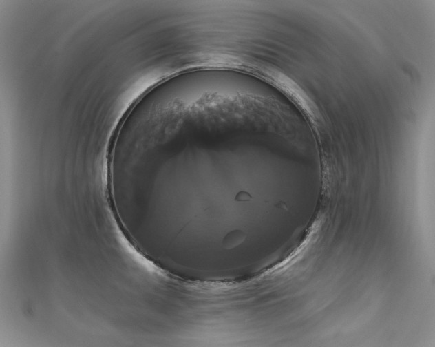 X0000111521095200907141503