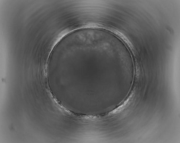 X0000111521097200907141503