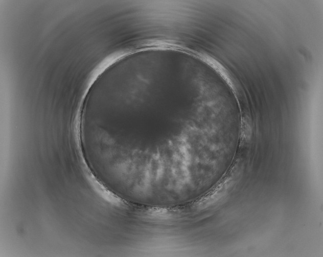 X0000111521098200907141503
