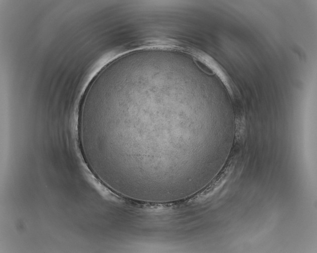 X0000111521099200907141503
