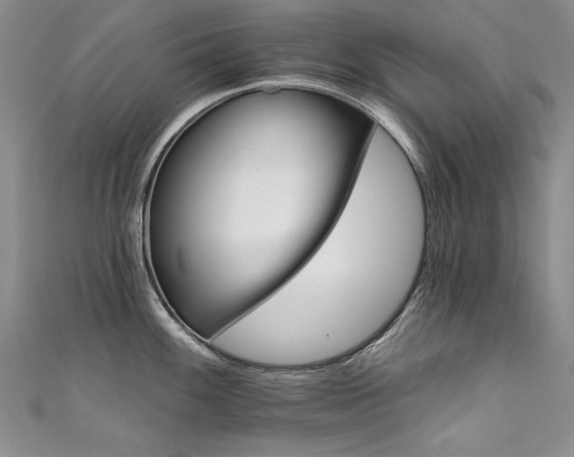 X0000111521100200907141503